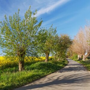 Erleben Sie Ihr grünes Wunder Erleben Sie Ihr grünes Wunder