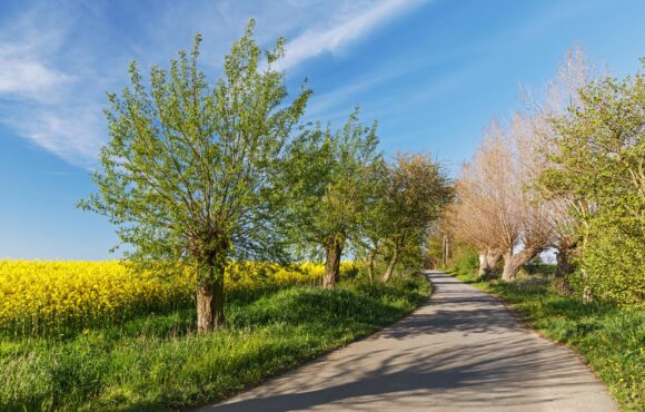 Erleben Sie Ihr grünes Wunder